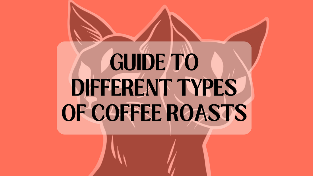 What are the Different Types of Coffee Roasts?