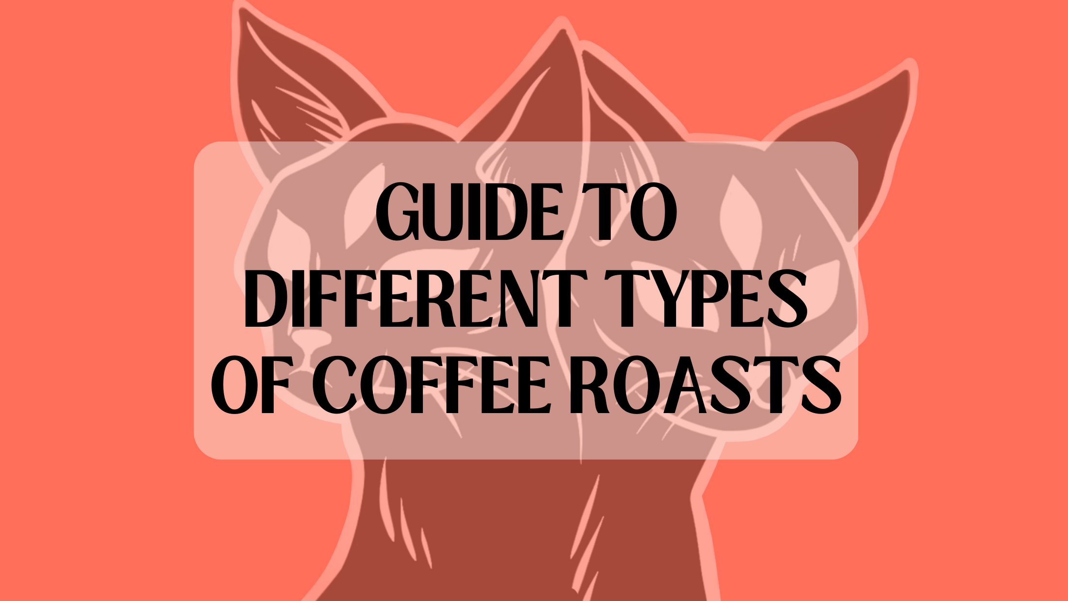 What are the Different Types of Coffee Roasts? Morning Spell Coffee