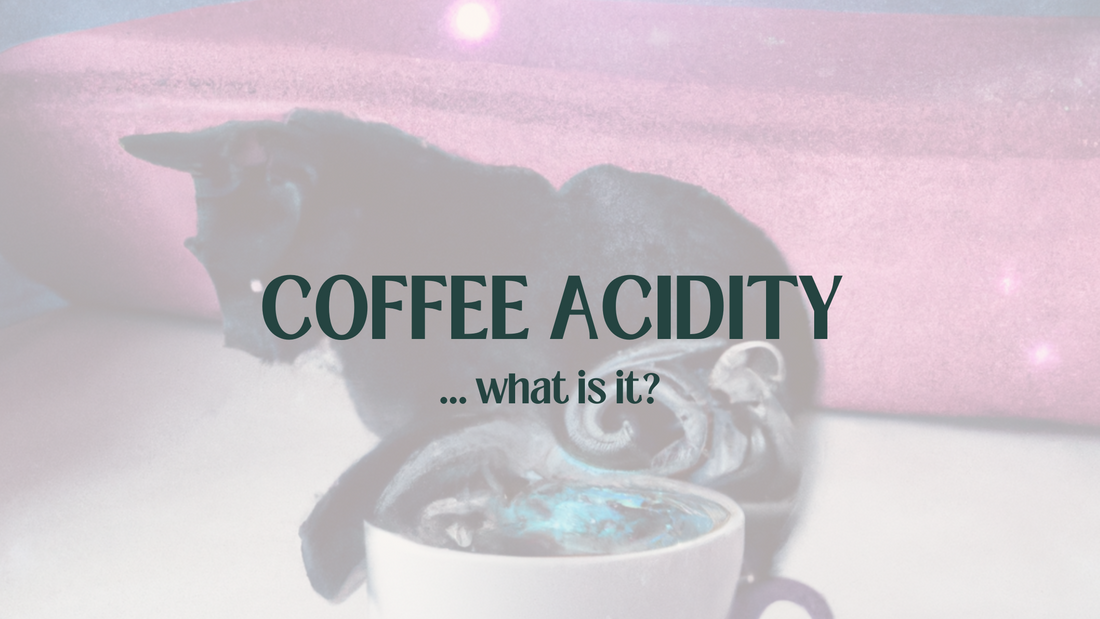 What is Coffee Acidity?