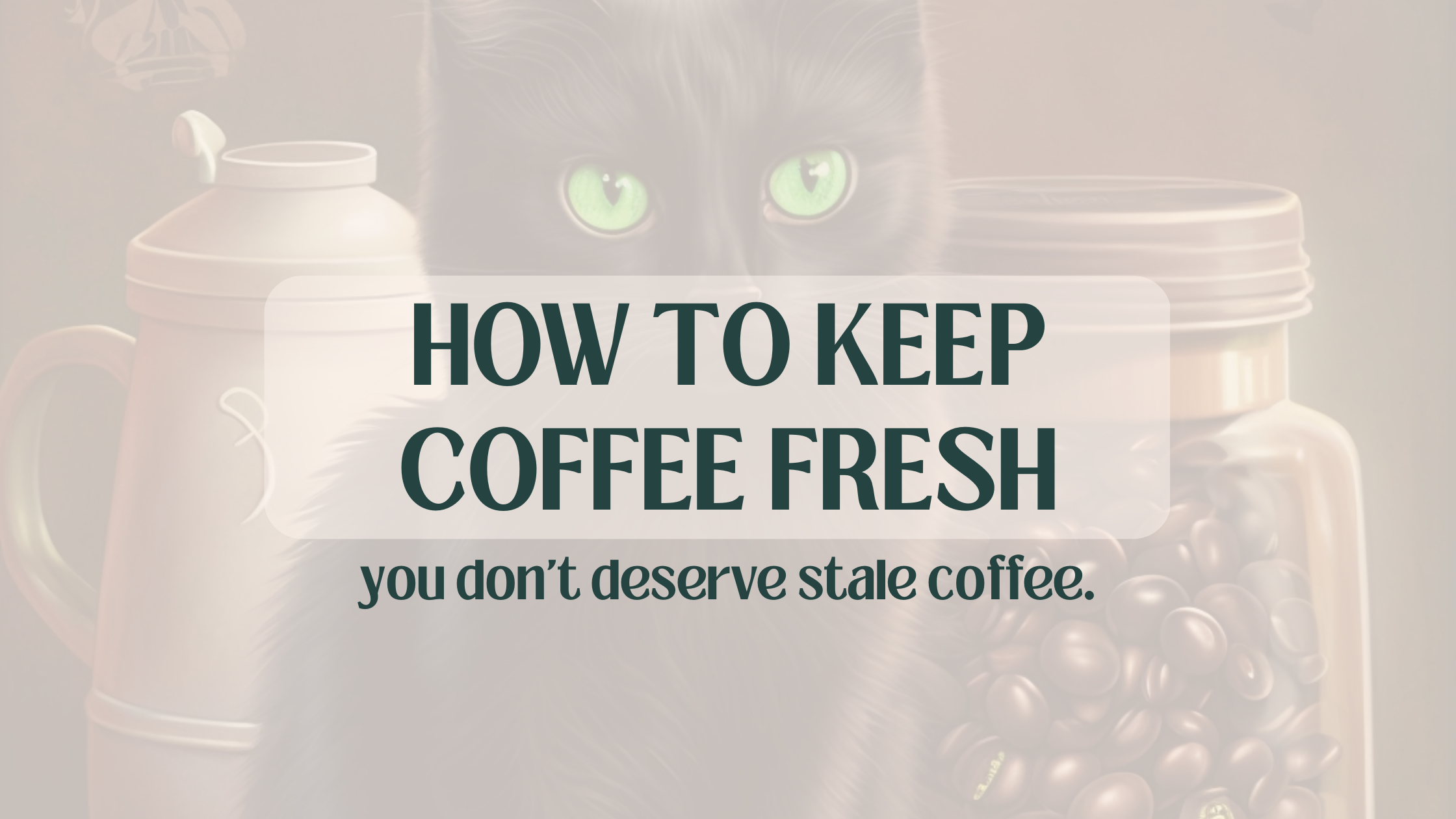 How to Keep Coffee Fresh Morning Spell Coffee