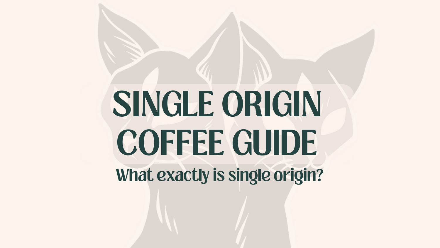 What is Single Origin Coffee? – Morning Spell Coffee